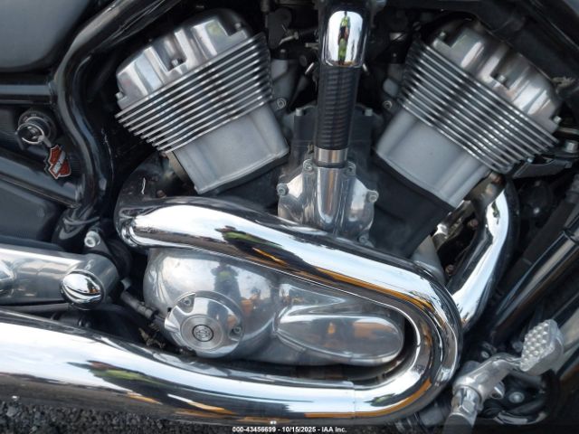 Harley-Davidson Vrscb Image 9