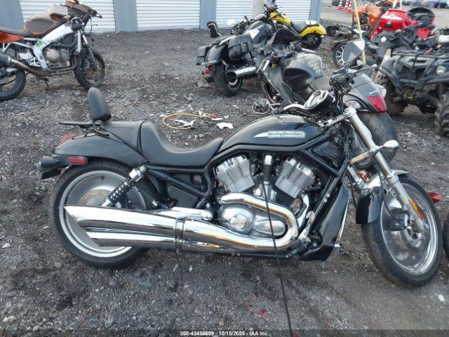 Harley-Davidson Vrscb Image 13