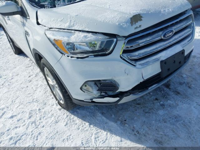 Ford Escape Se Image 6