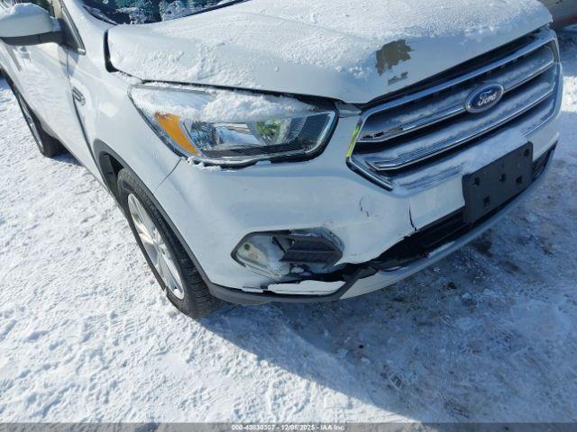 Ford Escape Se Image 6