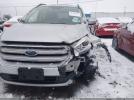 Ford Escape Sel Image 7